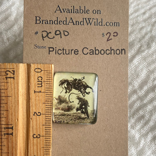Picture Cabochon - Cabochon - PC90 C1451974-7D31-4DDC-B913-E36196A9A3CE Brandedandwild.com