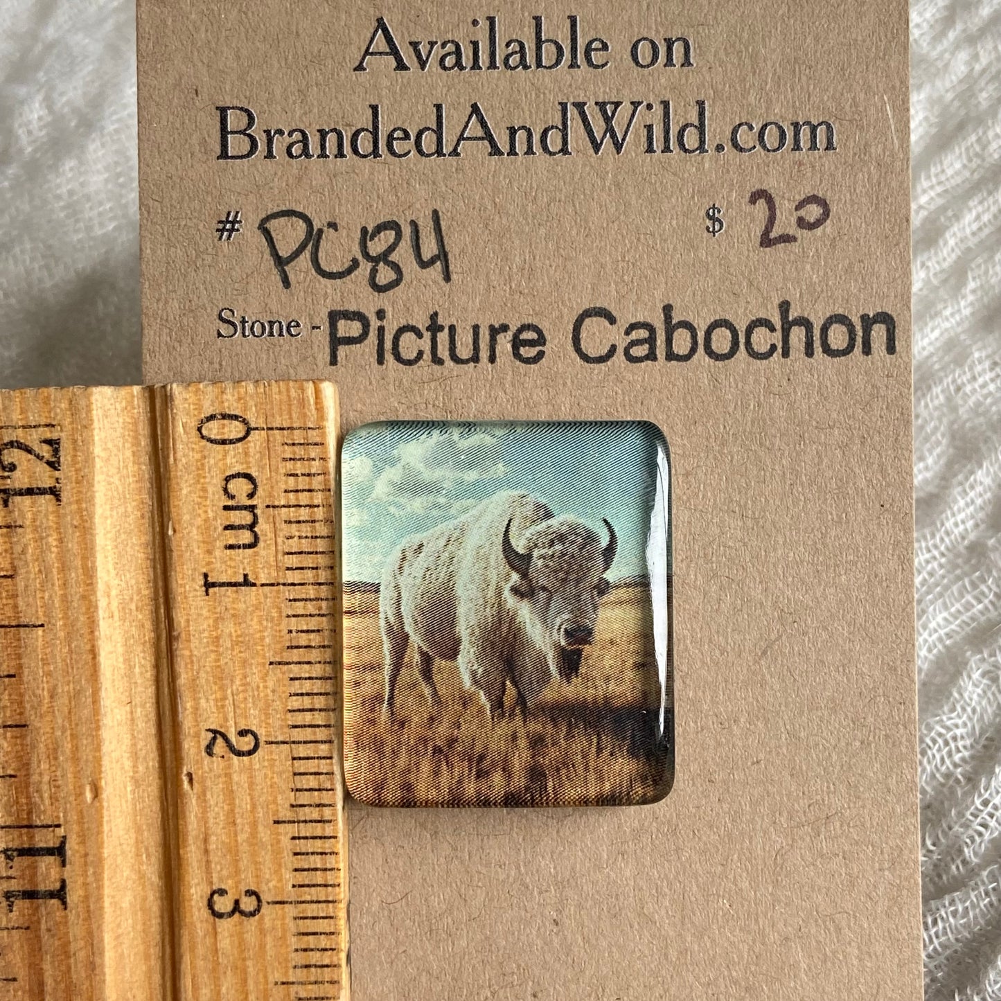 Picture Cabochon - Cabochon - PC84 C1574E18-530E-44C8-88BF-D01788805ADB Brandedandwild.com