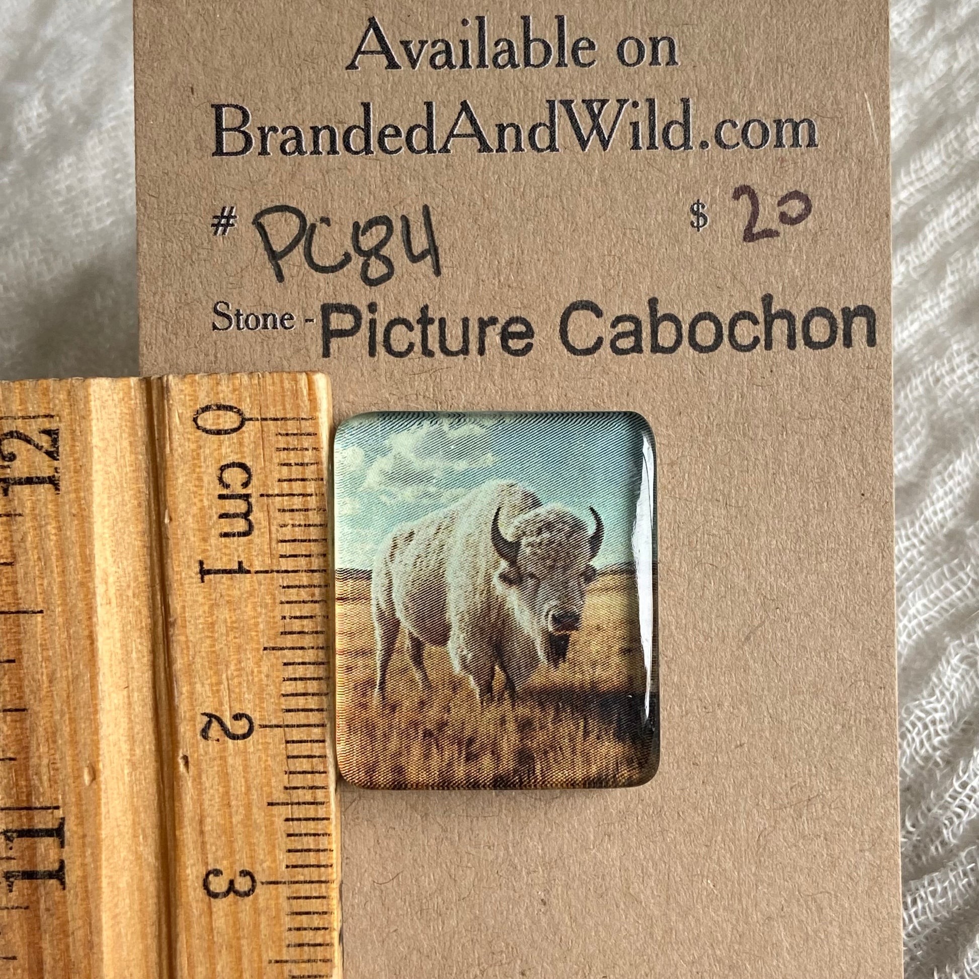 Picture Cabochon - Cabochon - PC84 C1574E18-530E-44C8-88BF-D01788805ADB Brandedandwild.com