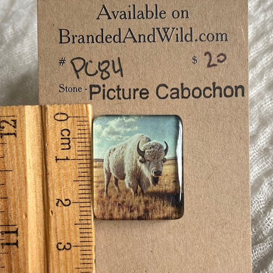 Picture Cabochon - Cabochon - PC84 C1574E18-530E-44C8-88BF-D01788805ADB Brandedandwild.com