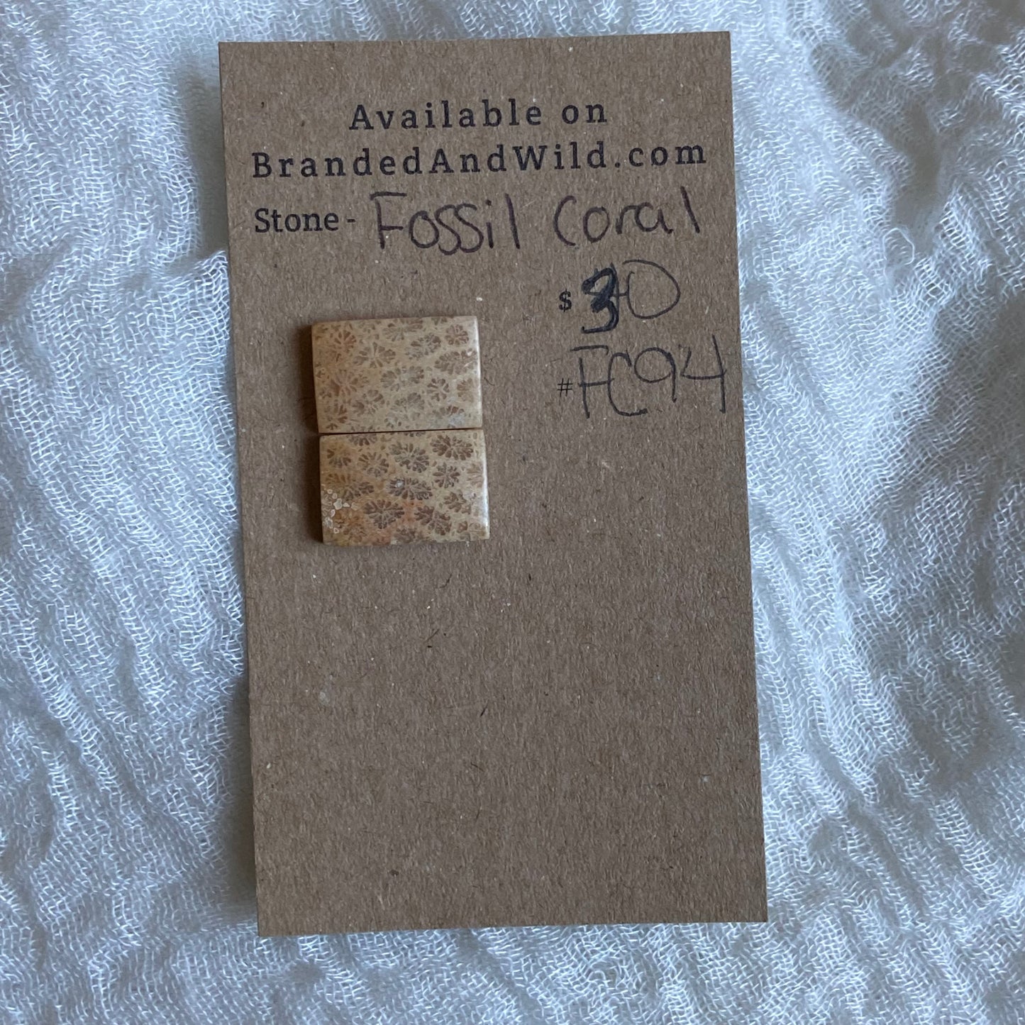 Fossil Coral Cabochon - FC94