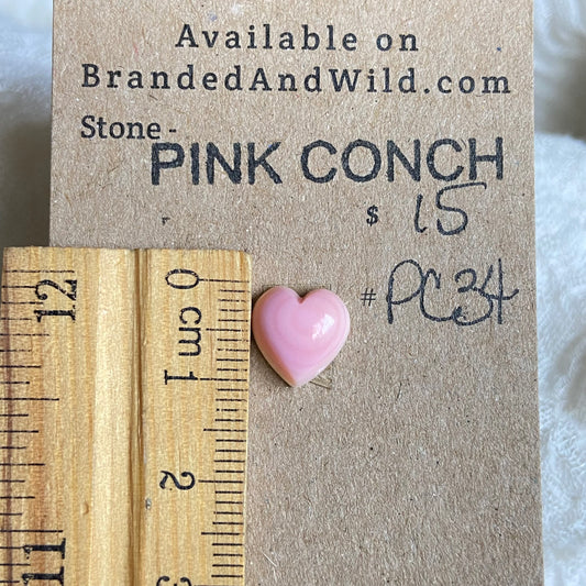 Pink Conch Cabochon - PC34