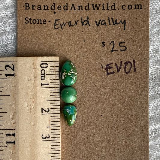 Emerald Valley Turquoise Cabochon - EV01