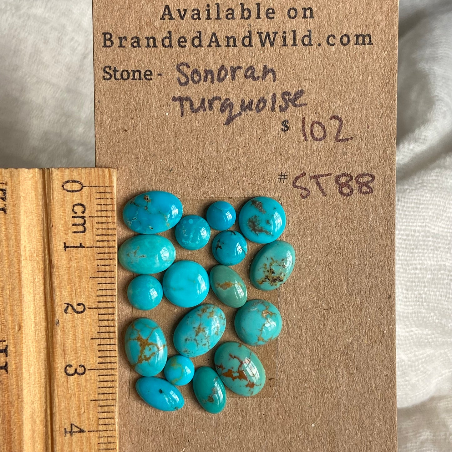 Sonoran Turquoise Cabochon - ST88