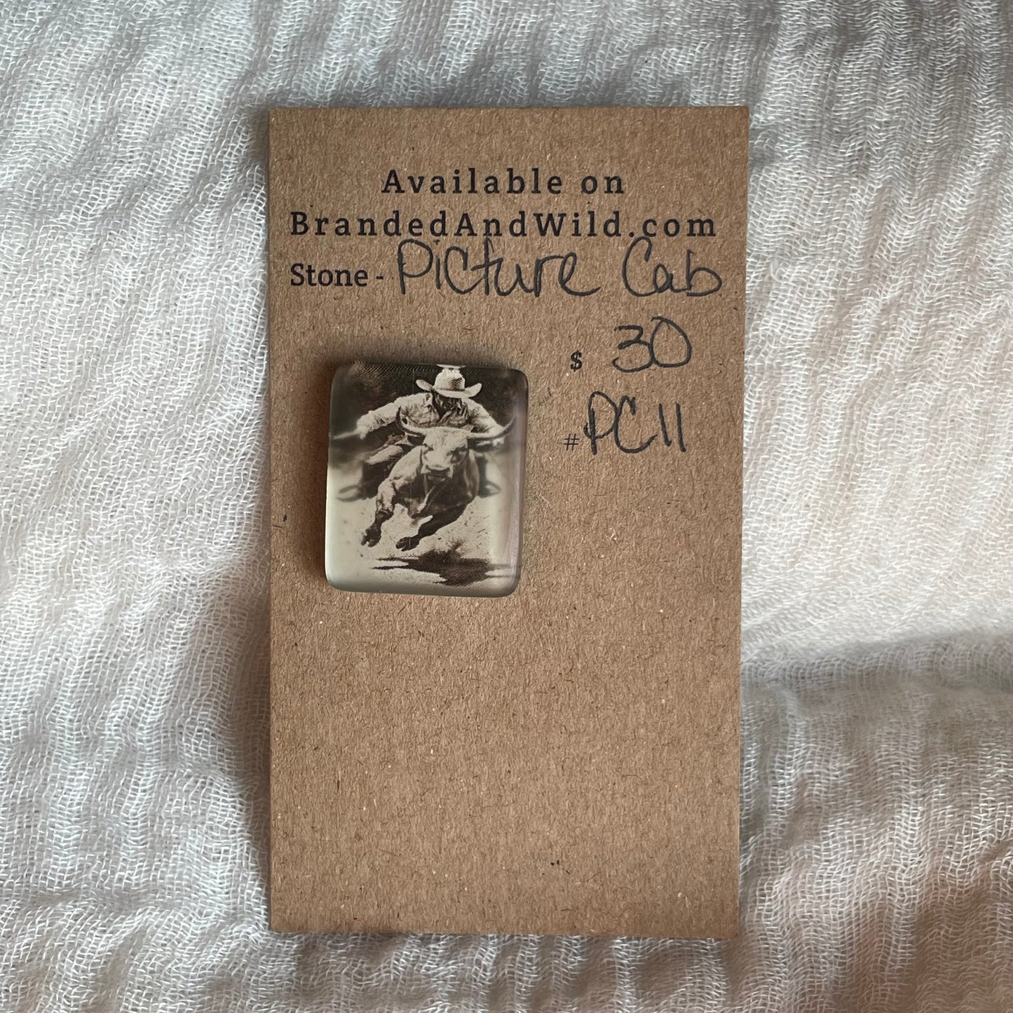 Picture Cabochon - Cabochon - PC11 C1D52113-72B0-4A58-8C4A-3B3C40E3950C Brandedandwild.com