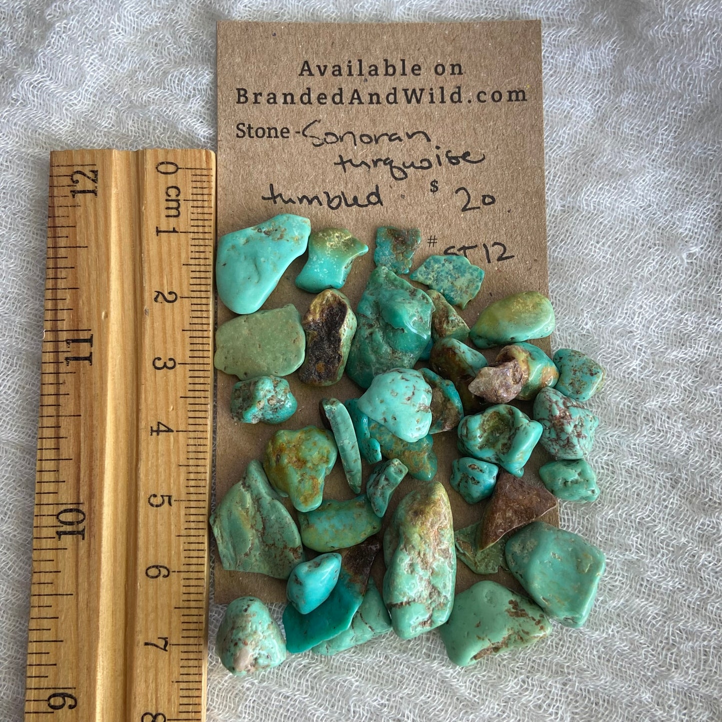 Rough Tumbled Sonoran Gold Turquoise - #ST12