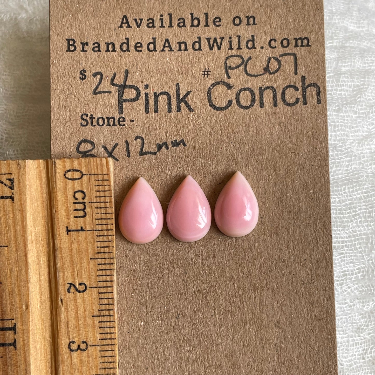 Pink Conch Cabochon - PC07