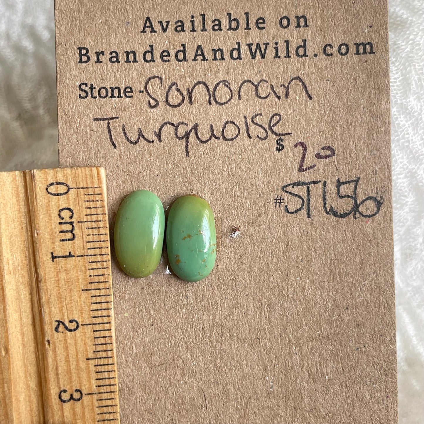 Sonoran Turquoise Cabochon - ST156 C23AABB7-F27B-496D-A6DD-4207F1998ECE Brandedandwild.com
