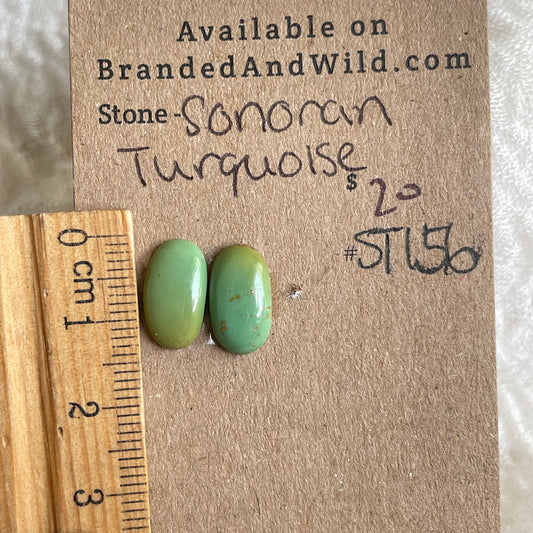 Sonoran Turquoise Cabochon - ST156 C23AABB7-F27B-496D-A6DD-4207F1998ECE Brandedandwild.com