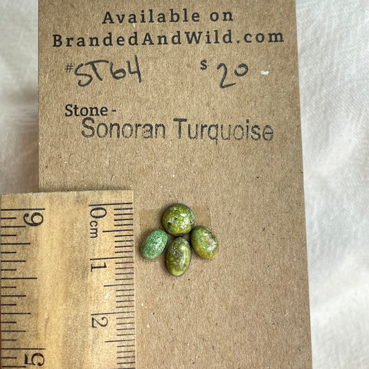 Sonoran Turquoise Cabochon - ST64 C254AFEC-4367-486C-AE67-B14D43F5AF9C Brandedandwild.com