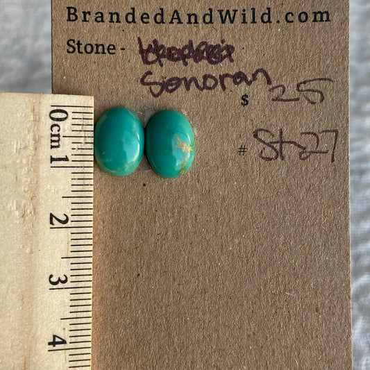 Sonoran Turquoise Cabochon - ST27