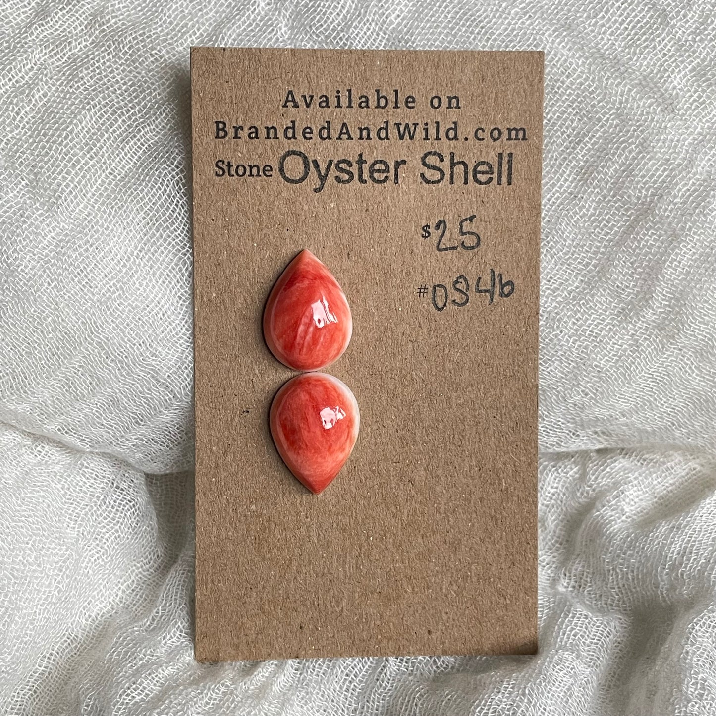 Spiny Oyster Shell Cabochon - OS46 C28BBF9E-631A-438B-BC78-0FBAE10BAE47 Brandedandwild.com