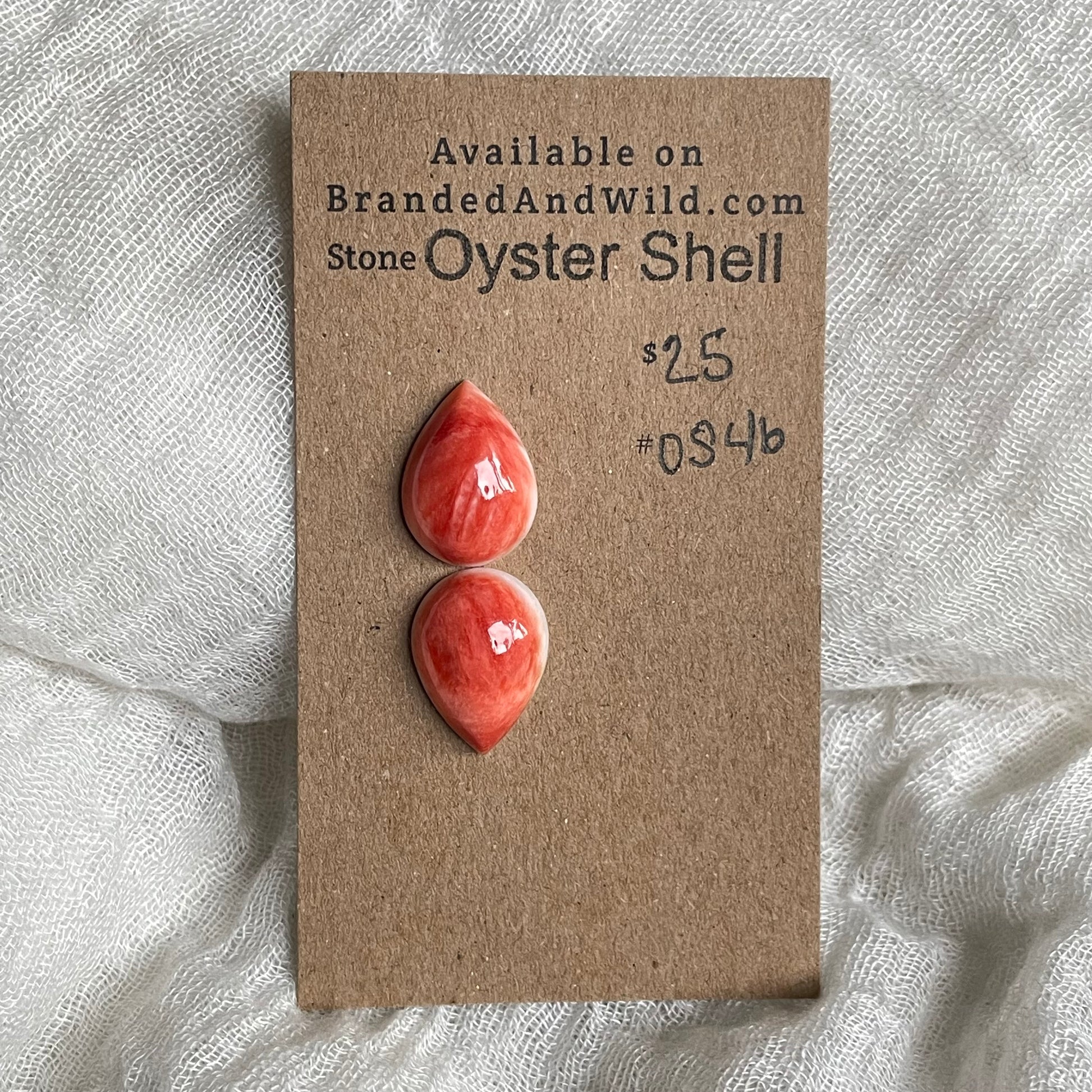 Spiny Oyster Shell Cabochon - OS46 C28BBF9E-631A-438B-BC78-0FBAE10BAE47 Brandedandwild.com