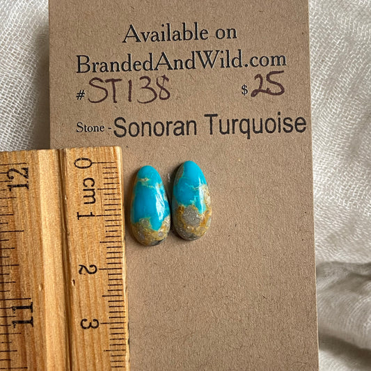 Sonoran Turquoise Cabochon - ST138 C28FC1B8-B6B1-4C62-908D-752BAD5369F5 Brandedandwild.com