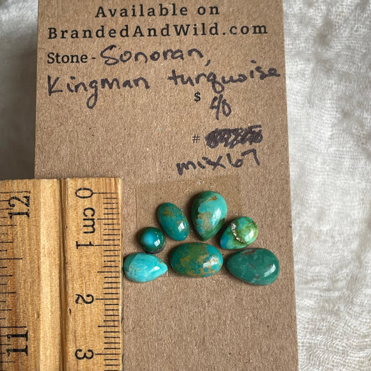 Sonoran / Kingman Turquoise Cabochon - Mix67 C2B2468F-EC35-403E-8528-9F2E70D626EE Brandedandwild.com