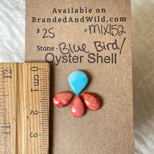 Oyster Shell / Blue Bird Cabochon - Mix152 C2BED0B6-9A0E-4B25-9280-F0D56C27D964 Brandedandwild.com