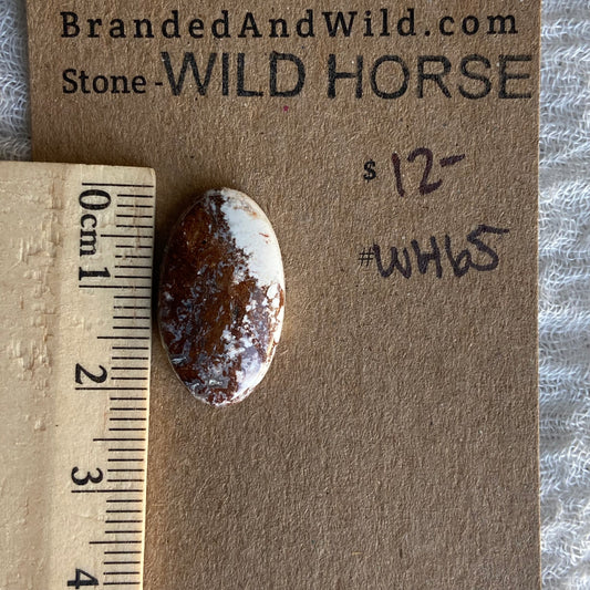Wild Horse Cabochon - WH65