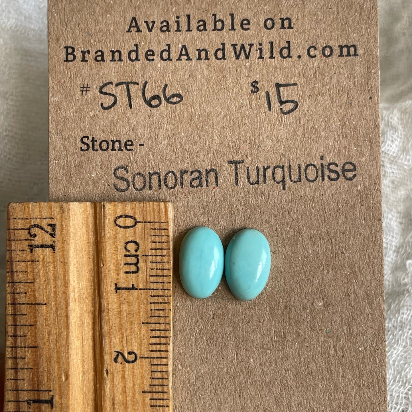 Sonoran Turquoise Cabochon - ST66