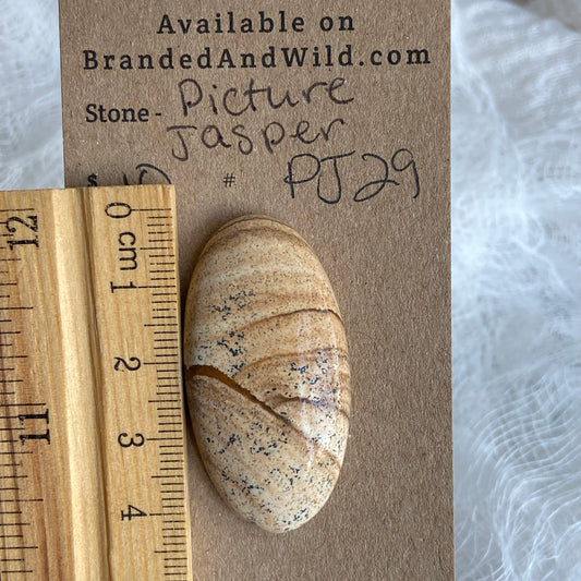 Picture Jasper Cabochon - PJ29