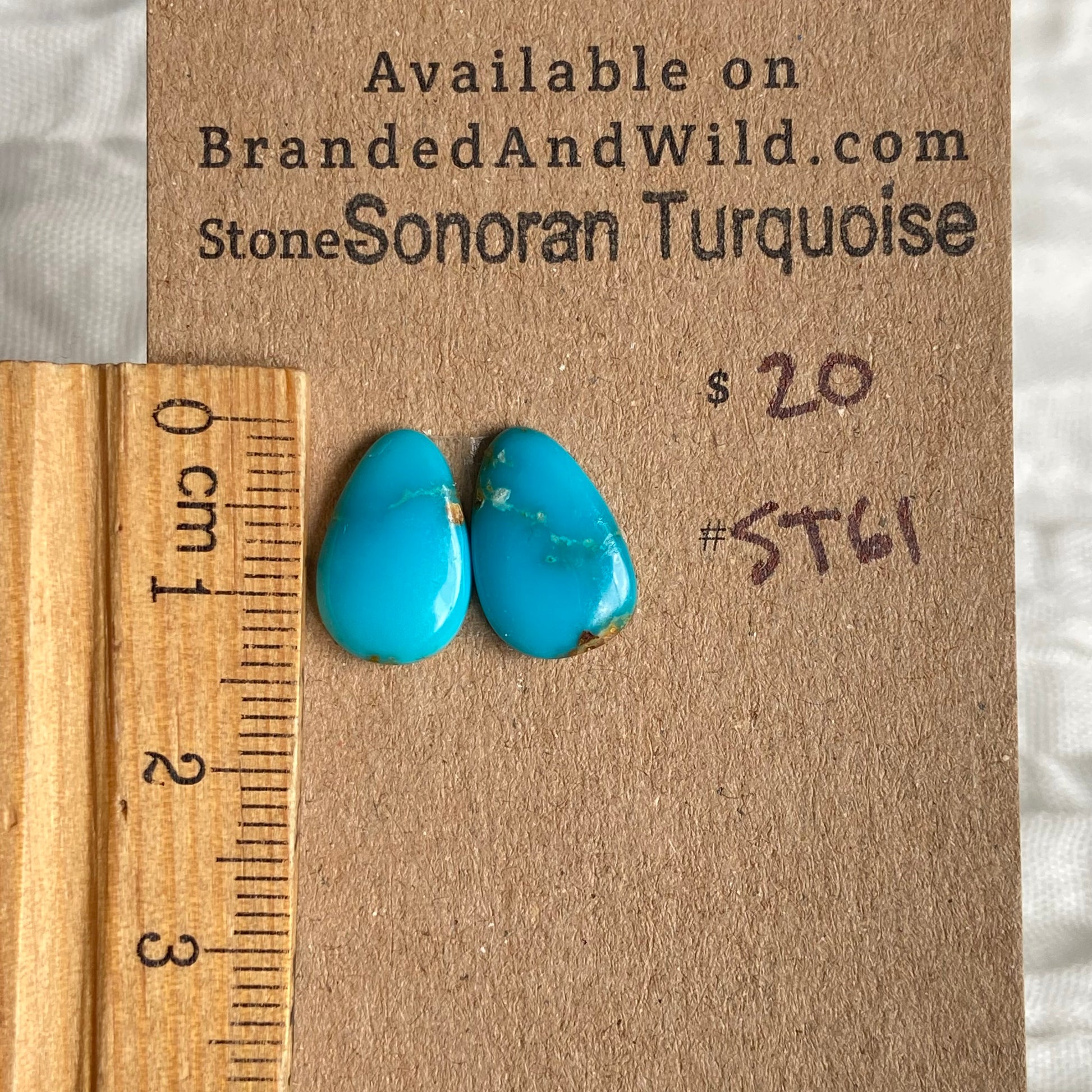 Sonoran Turquoise Cabochon - ST61 C31957DE-6D17-44DB-8207-4E3EED387F7F Brandedandwild.com