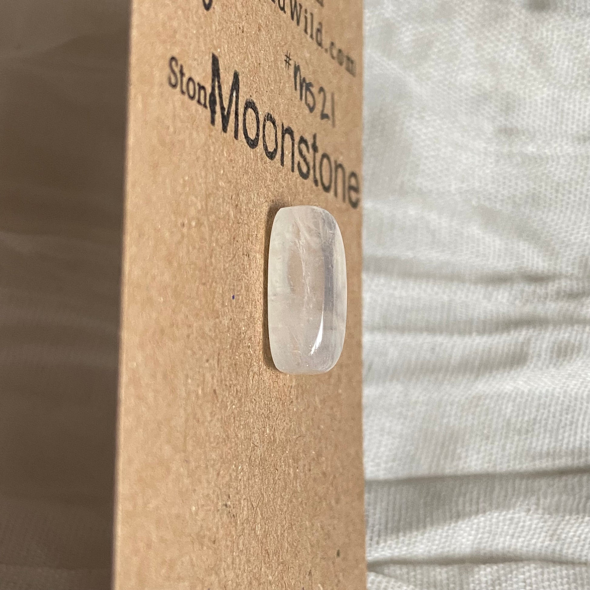 Moonstone cabochon - Ms21 C32276CC-11DE-48D4-866E-83D32984F996 Brandedandwild.com