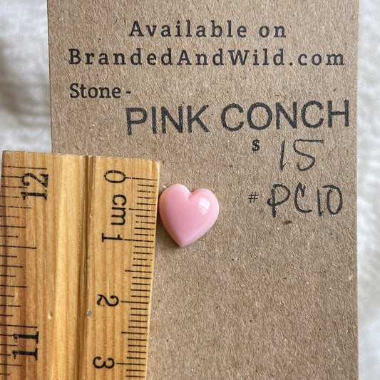 Pink Conch Cabochon - PC10
