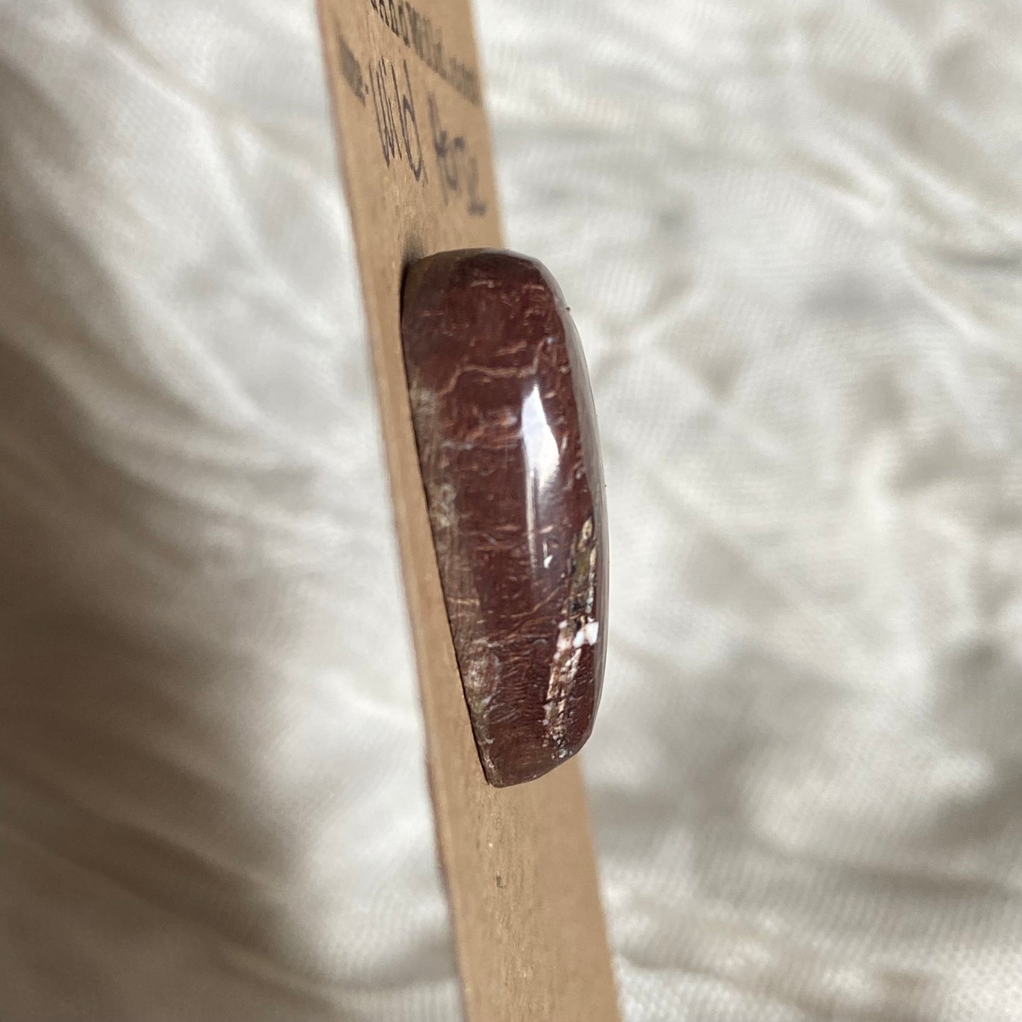 Wild Horse Cabochon - WH72