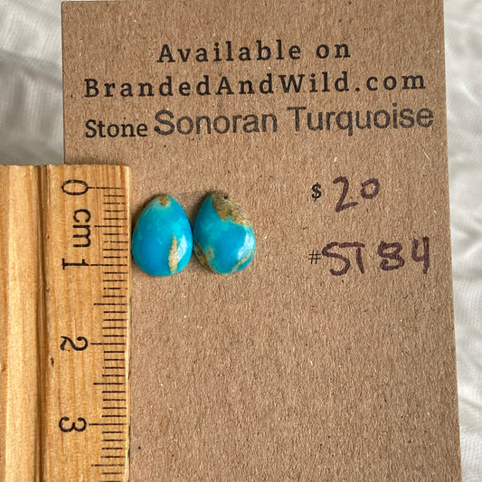 Sonoran Turquoise Cabochon - ST84 C41B9E3A-E8A8-42D8-915D-D56C00444A12 Brandedandwild.com