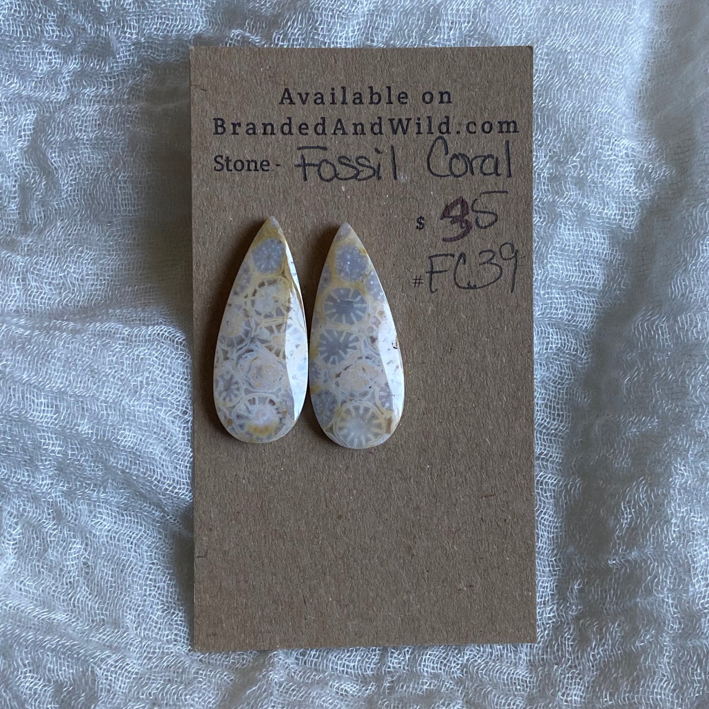 Fossil Coral Cabochon - FC39