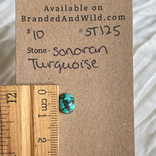 Sonoran Turquoise Cabochon - ST125 C43677AA-D7AA-48C3-81BA-97EF60F8D261 Brandedandwild.com