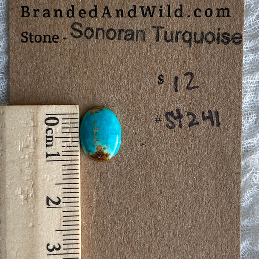 Sonoran Turquoise Cabochon - ST241