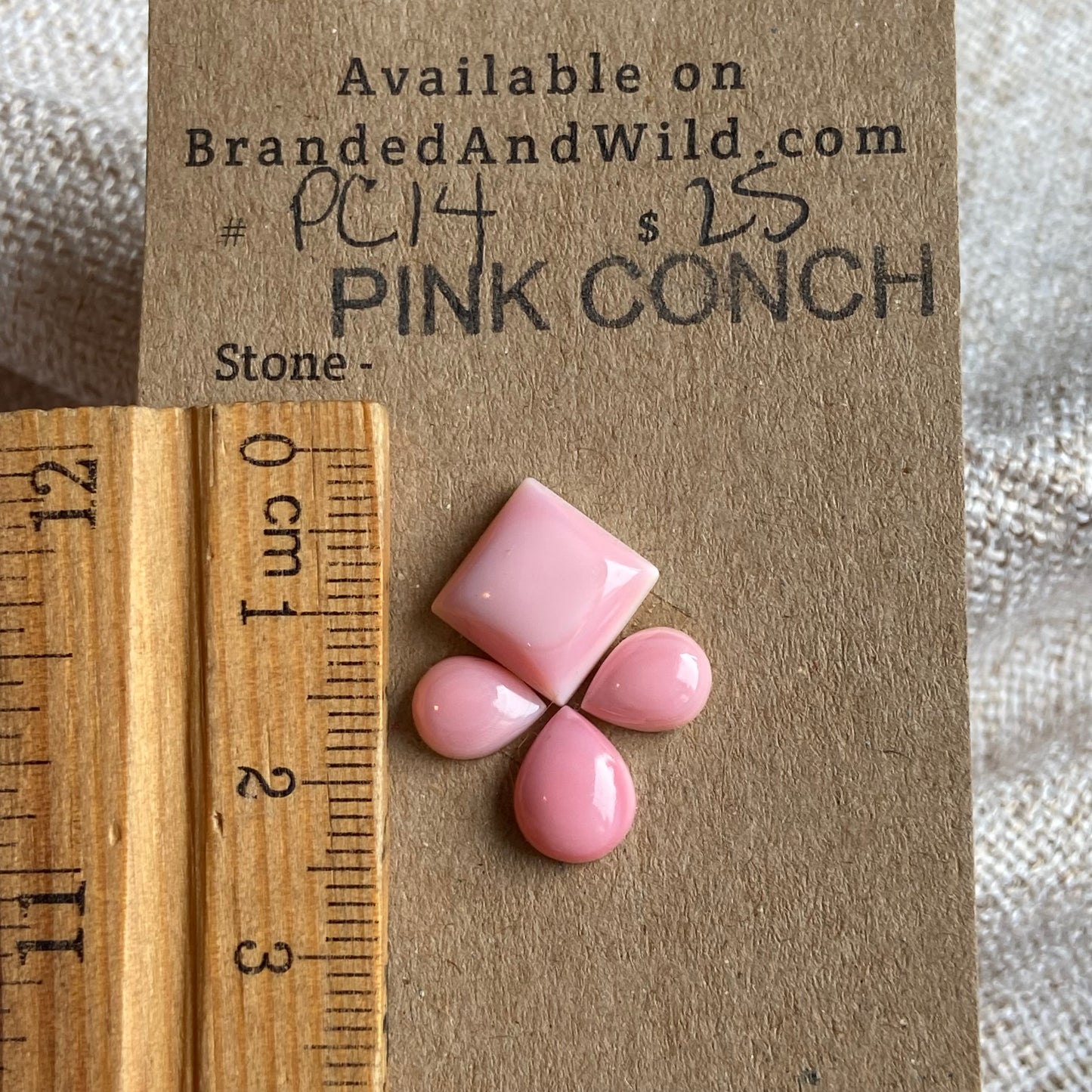 Pink Conch Cabochon - PC14 C48E6AE6-EDB8-40D6-AD5A-C8410B764A27 Brandedandwild.com