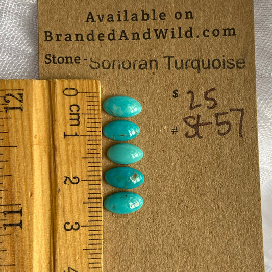 Sonoran Turquoise Cabochon - ST57