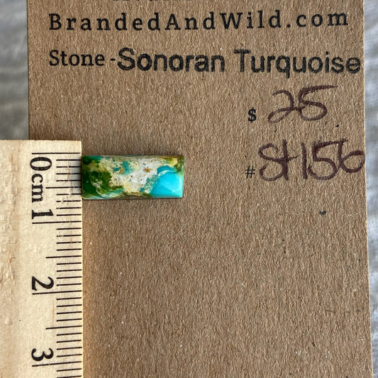 Sonoran Turquoise Cabochon - ST156