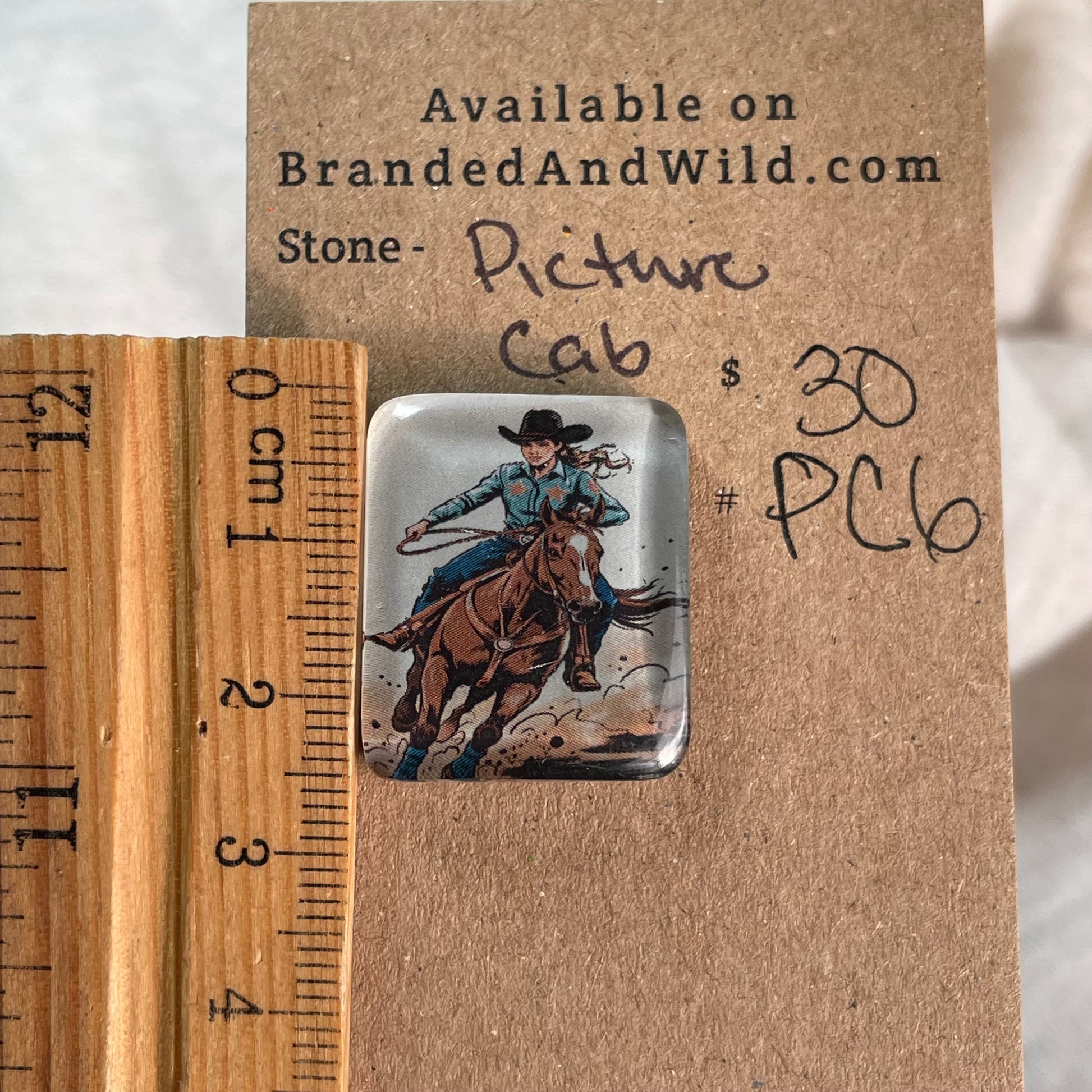 Picture Cabochon - Cabochon - PC6 C4FCF10B-6A82-4A95-90B3-93E6FF494BEA Brandedandwild.com