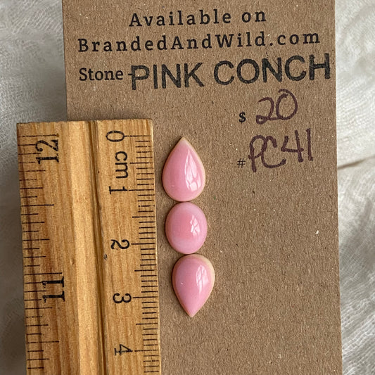 Pink Conch Cabochon - PC41