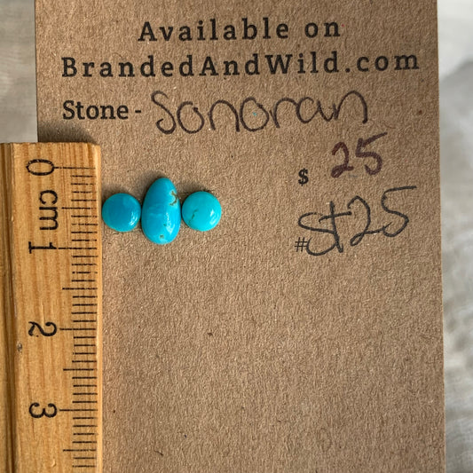 Sonoran Turquoise Cabochon - ST25
