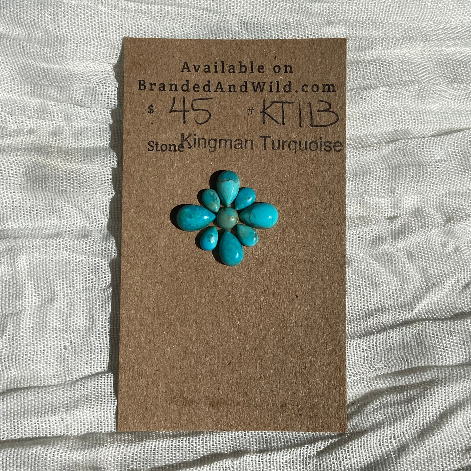 Kingman Turquoise Cabochon - KT113 C57B4022-C958-4B3A-8115-3D04A27C3C50 Brandedandwild.com