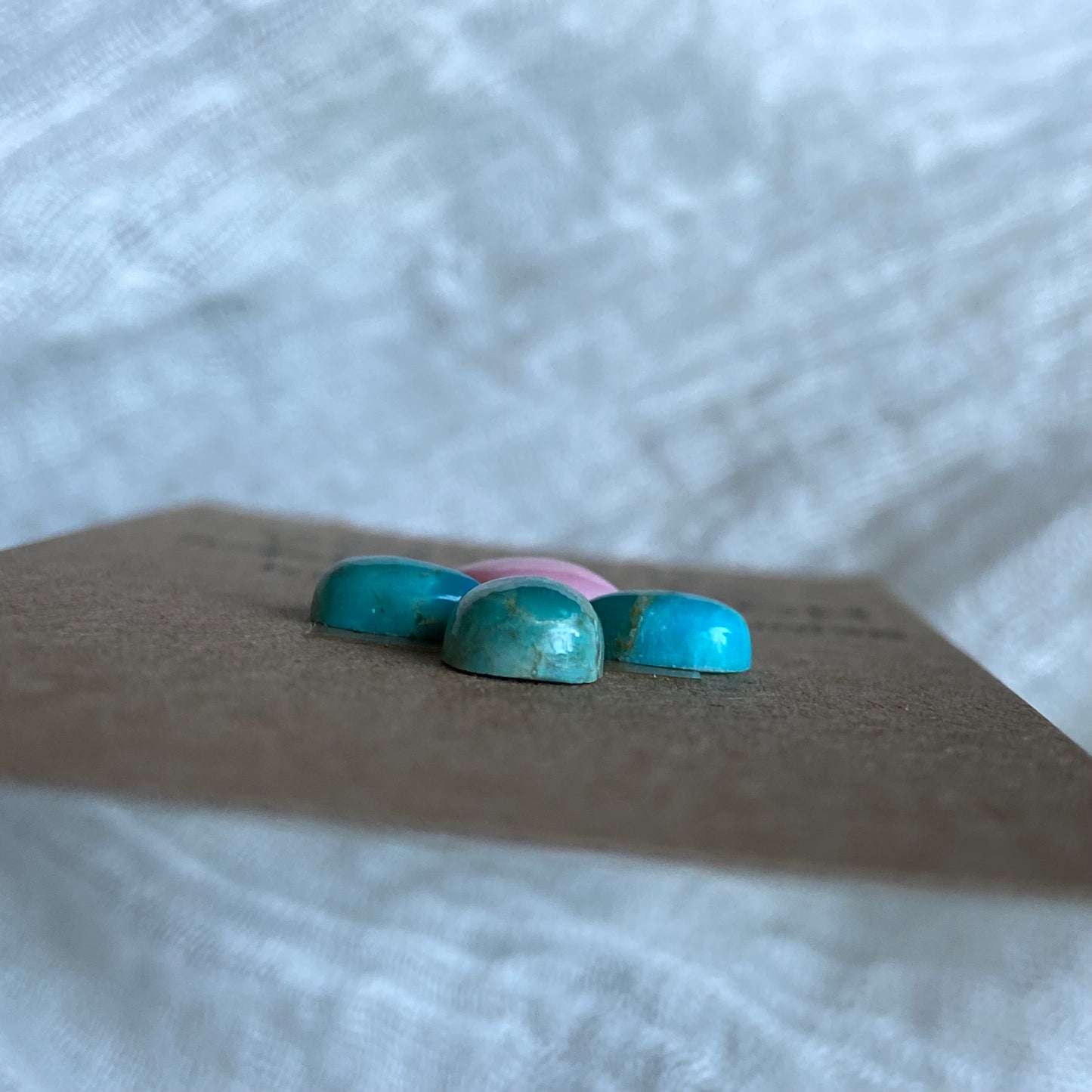 Pink Conch / Oyster Shell Cabochon - PK37