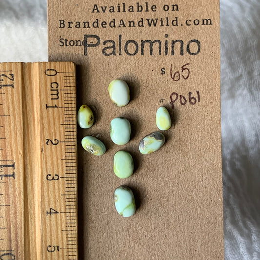 Palomino Cabochon - P061