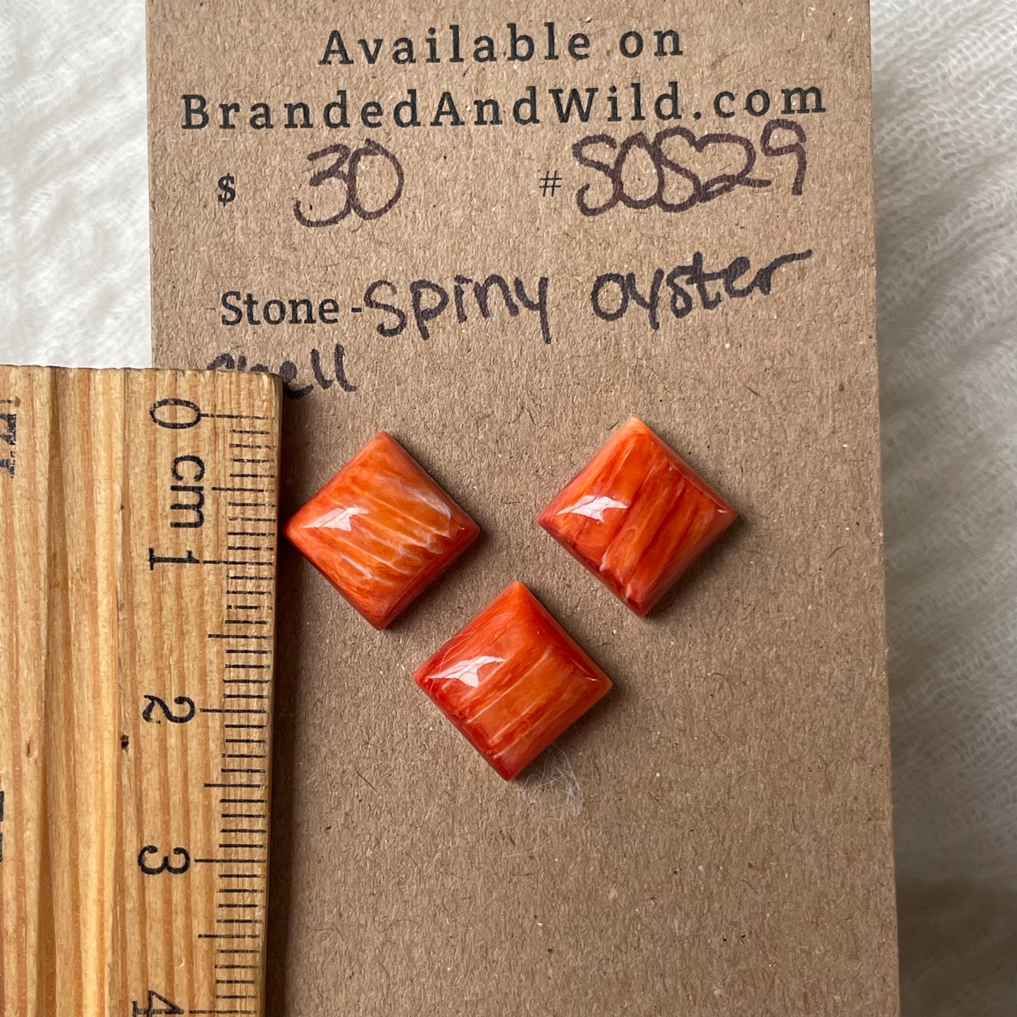 Spiny Oyster Shell Cabochon - SOS29 C5D08C4C-6DBE-441A-B025-6C41841D5163 Brandedandwild.com