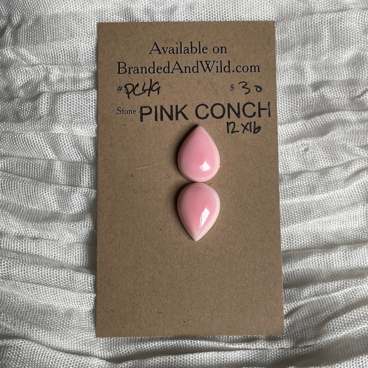Pink Conch Cabochon - PC49 C5EA8718-7A1D-49F0-A1A5-15CC08AB2346 Brandedandwild.com