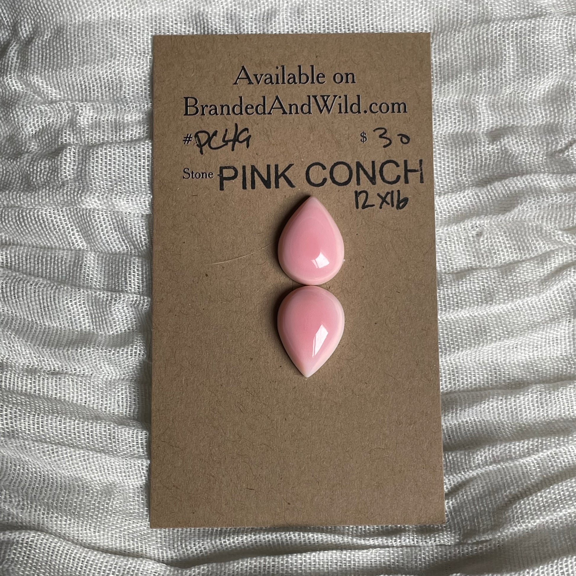 Pink Conch Cabochon - PC49 C5EA8718-7A1D-49F0-A1A5-15CC08AB2346 Brandedandwild.com