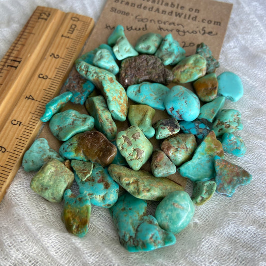 Rough Tumbled Sonoran Gold Turquoise - #ST10