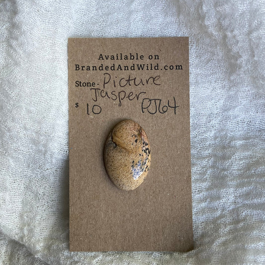 Picture Jasper Cabochon - PJ64