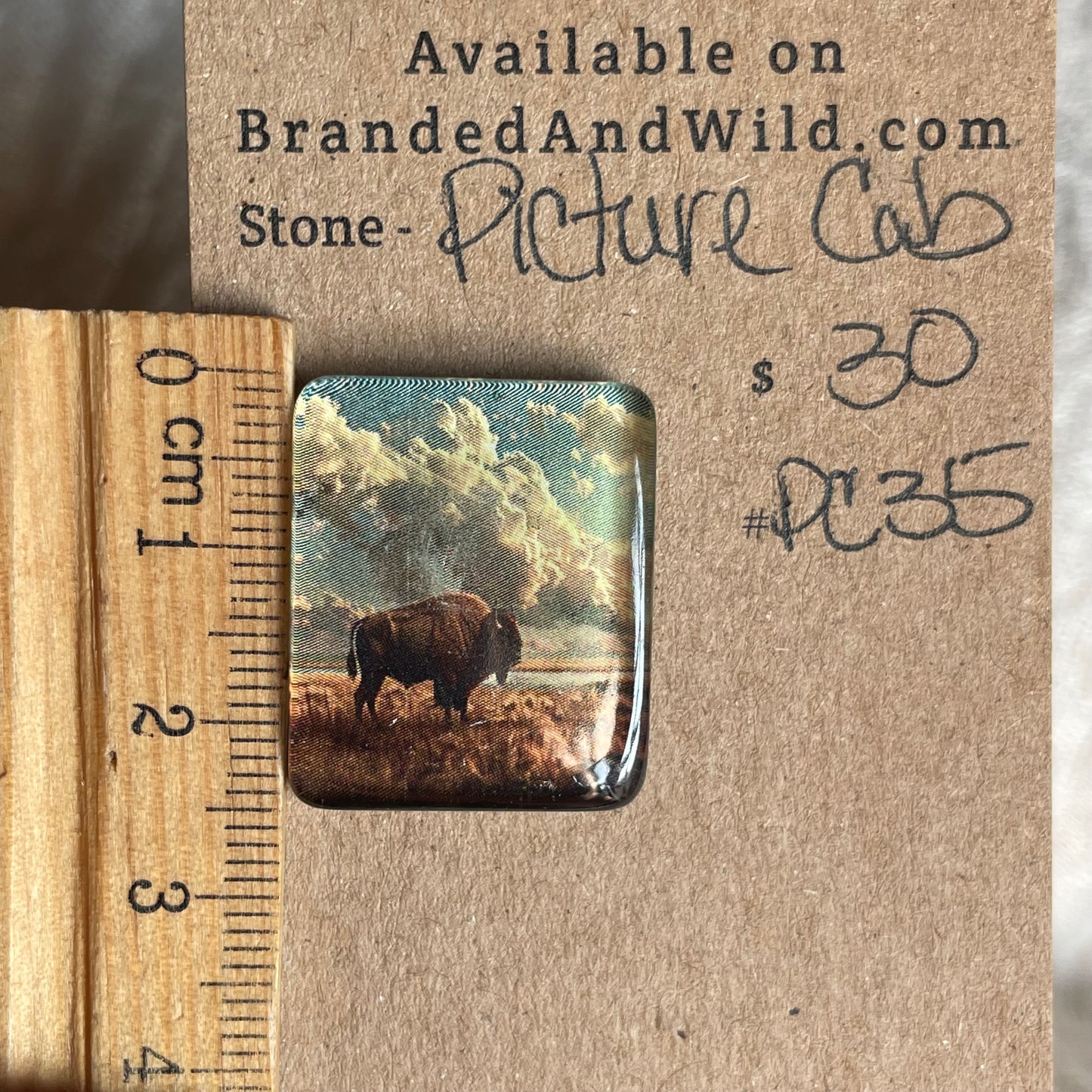 Picture Cabochon - Cabochon - PC35 C6388A4A-F173-4B65-8913-B8B76C536185 Brandedandwild.com