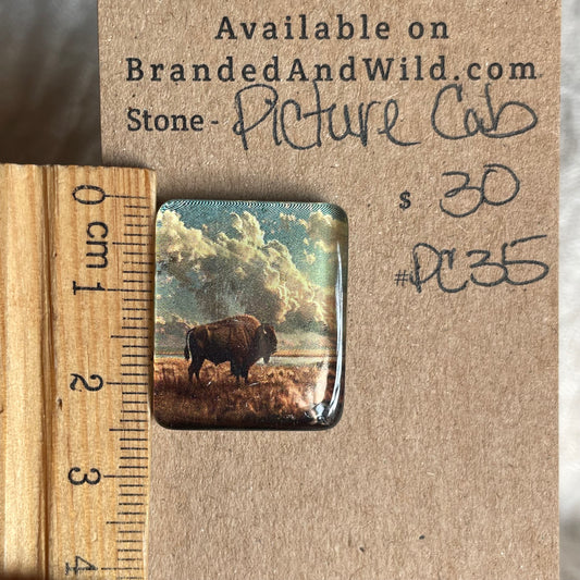 Picture Cabochon - Cabochon - PC35 C6388A4A-F173-4B65-8913-B8B76C536185 Brandedandwild.com