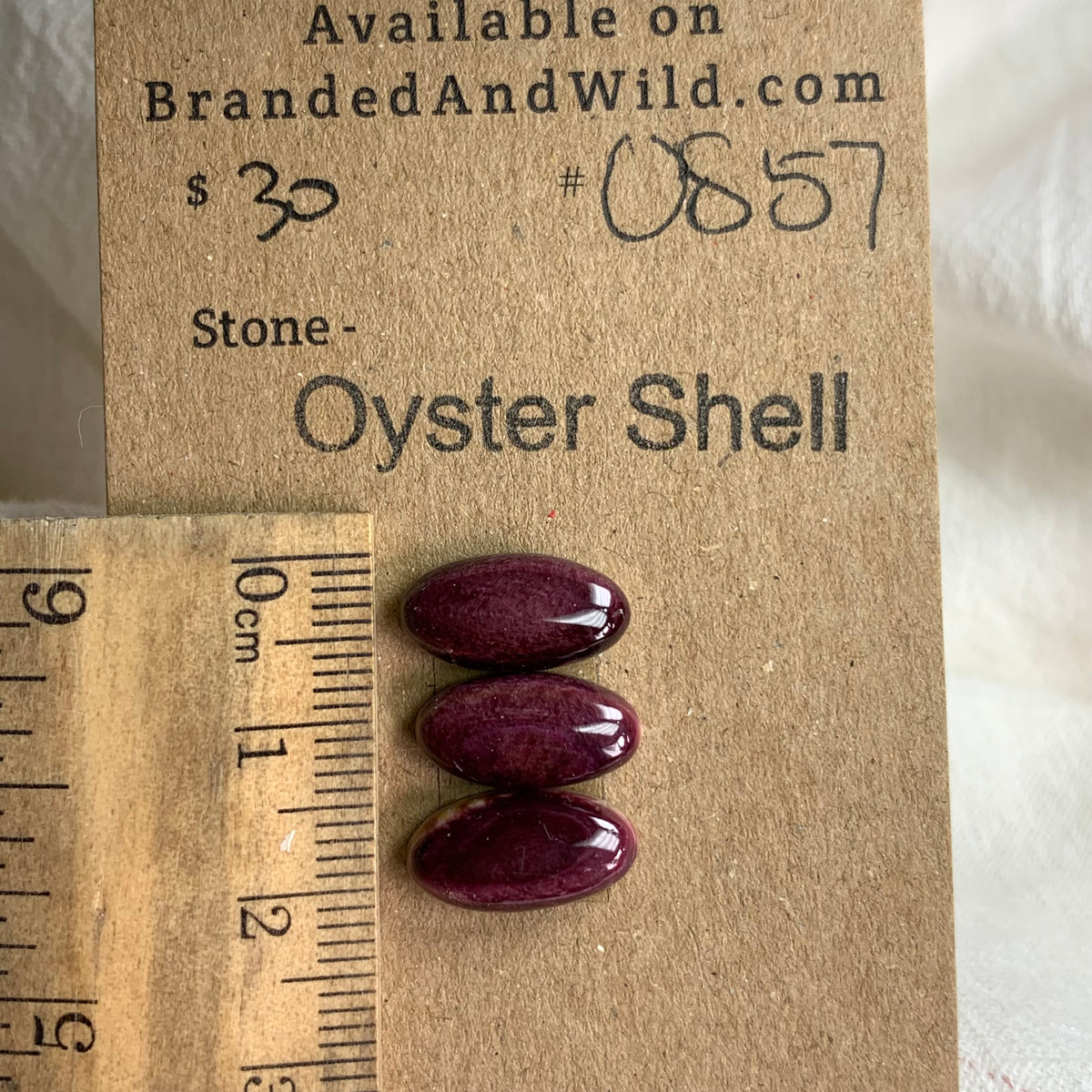 Oyster Shell Cabochon - OS57 C653A68B-5A2E-49D4-A662-887606909618 Brandedandwild.com