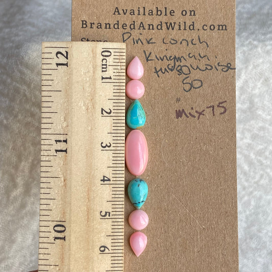 Pink Conch - Kingman Turquoise Cabochon - MIX75