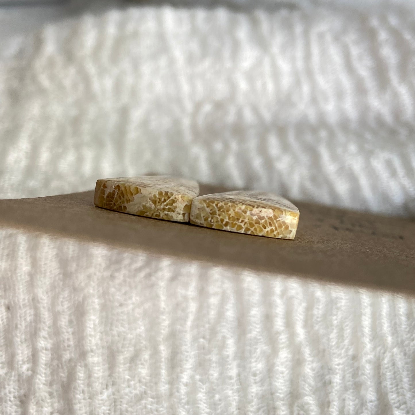 Fossil Coral Cabochon - FC51